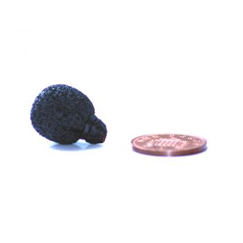 Rycote lavalier foam mini antiviento para micrófono lavalier