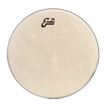 Evans 13 calftone parche de tom tt13c7