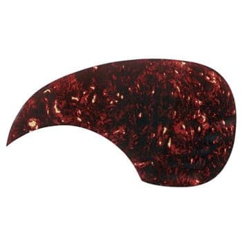 Gewa 558001 golpeador concha