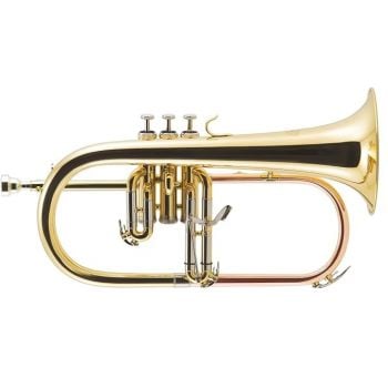 J.michael fliscorno en sib fg500