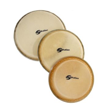 Soundsation sch-11 11\ conga cabeza natural