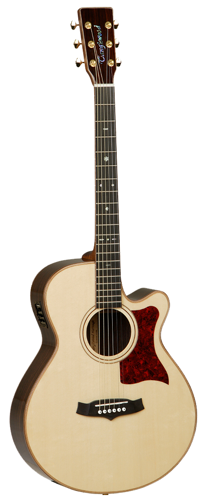 Tanglewood TW45HSRE Super Folk TW45HSRE