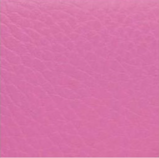 Bam Estuche Oboe ET3029XLRO L'Étoile Hightech Rosa ET3029XLRO