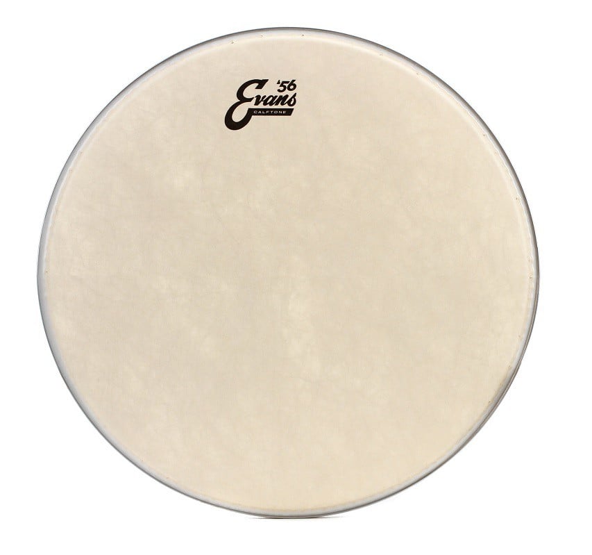 Evans 15 Calftone Parche de Tom TT15C7 15 Calftone