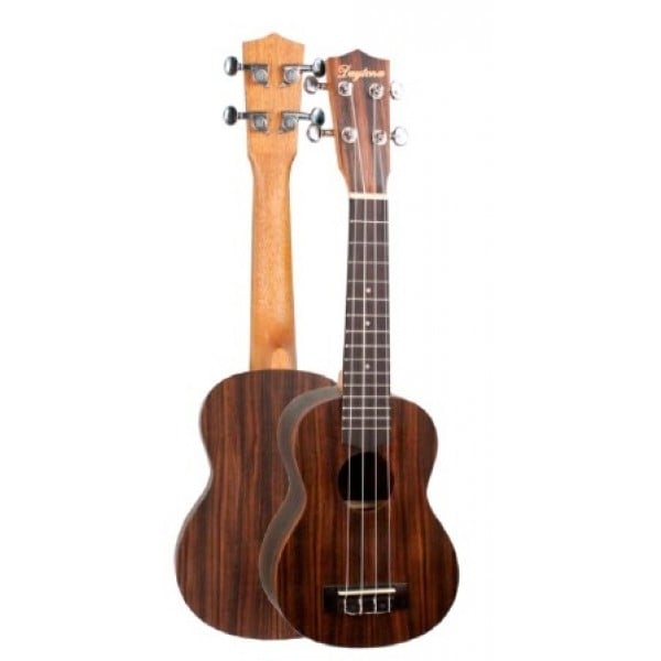 Daytona Exotic Ébano Ukelele Concierto UKEBC