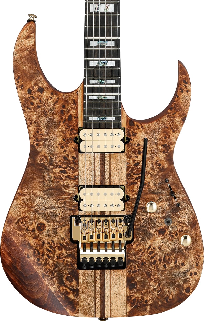 Ibanez RGT1220PBABS Guitarra Eléctrica Antique Brown Stained Flat + Funda RGT1220PBABS