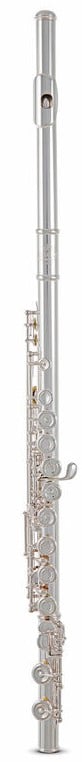 Roy Benson FL-602E Flauta FL-602E