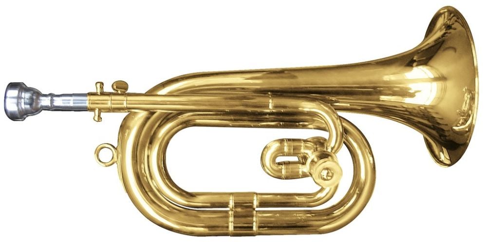 J.Michael Corneta En Do-Reb Act301 ACT301