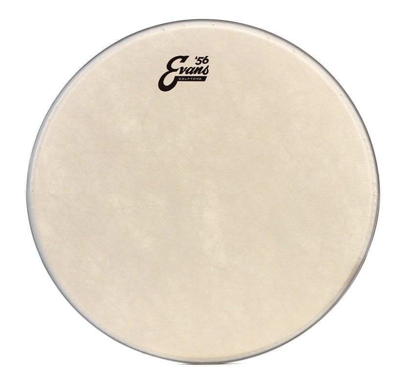 Evans 14 Calftone Parche de Tom TT14C7 14 Calftone