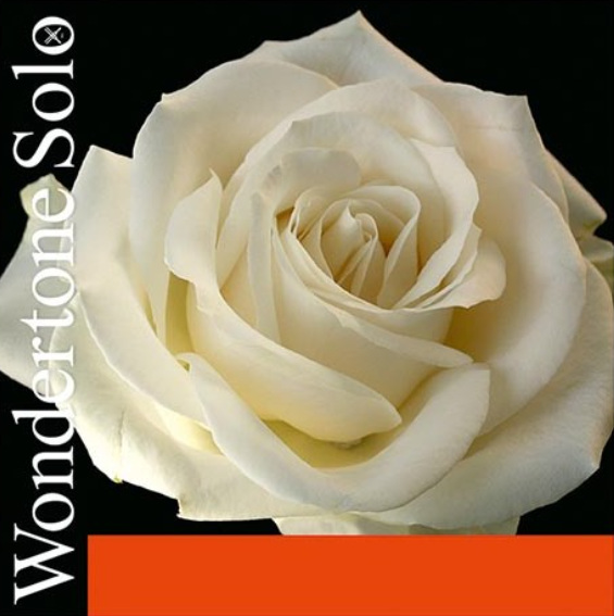 Pirastro Juego Cuerdas Violín Wondertone Solo 410521 ACCVIWSJB2AA