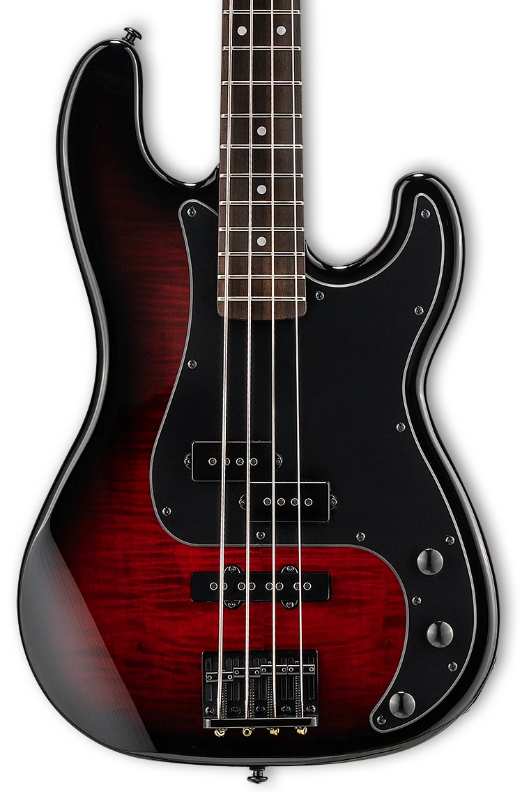 LTD Surveyor-204DX Red Burst Bajo Eléctrico Surveyor-204DX Red Burst