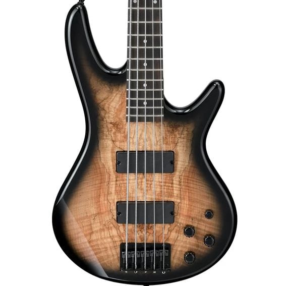 Ibanez GSR205SM-NGT 5 cuerdas Natural Gray Burst GSR205SM-NGT