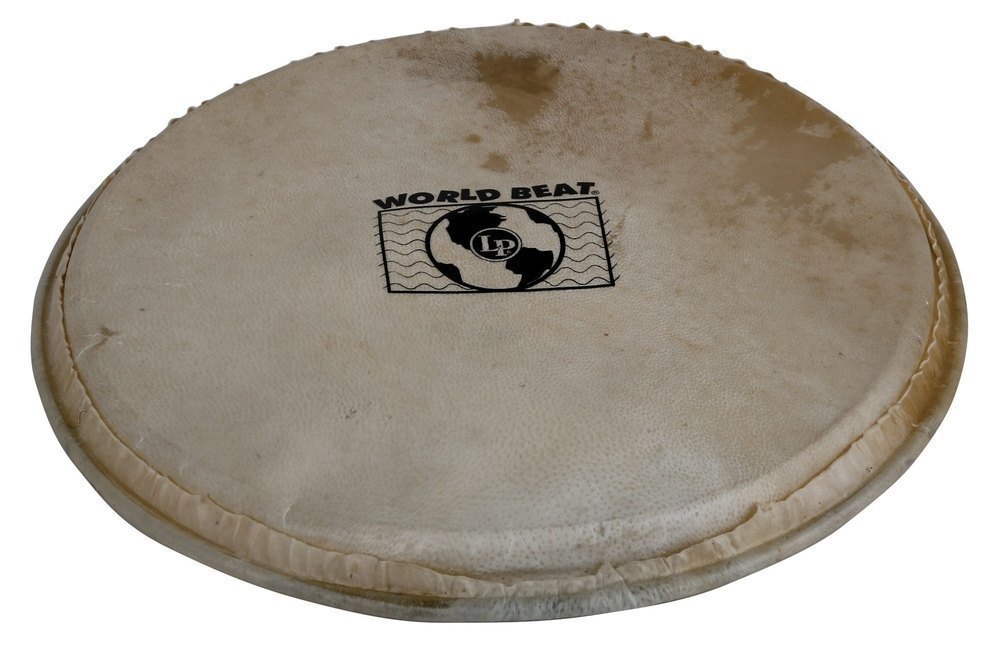 Latin Percussion WB505B Parche Percusión 10 Pulgadas WB505B