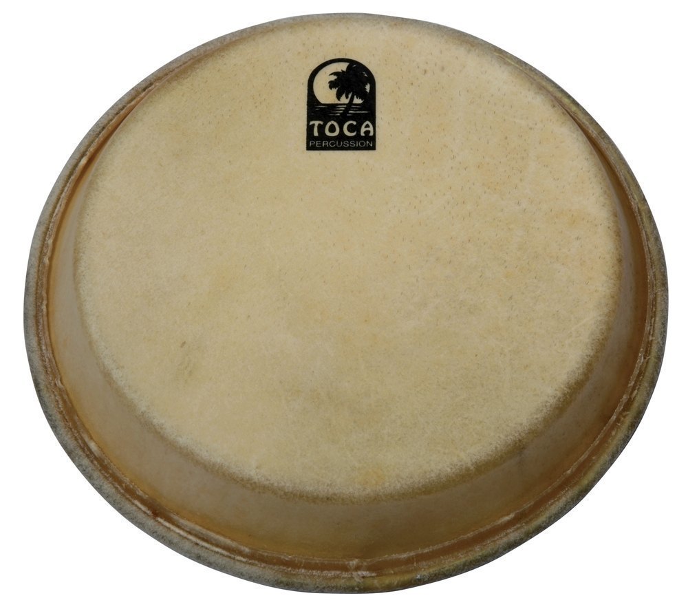 Toca Percussion TP-39011-3/4 Parche de Conga 11,75 Pulgadas TP-39011-3/4