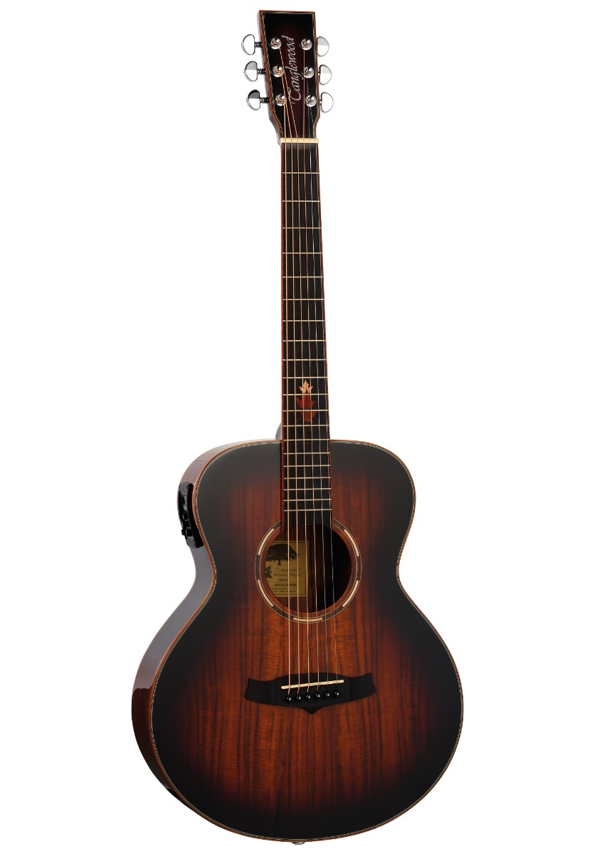Tanglewood TWX1EK TWX1EK