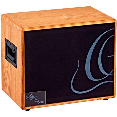 Ortega SONE Bafle para Guitarra SONE