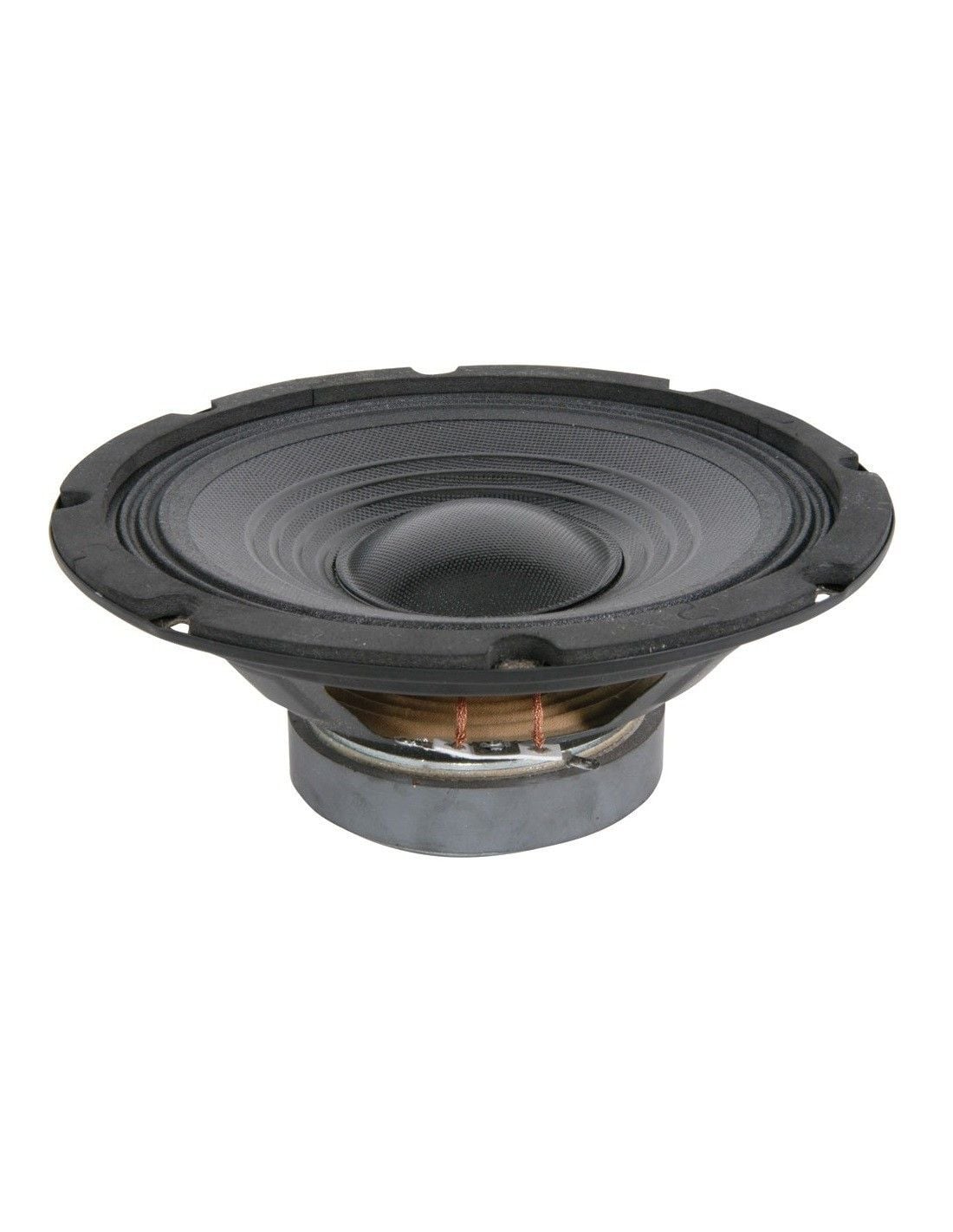 QTX Altavoz 8" 75W RMS 8 Ohm 902548 902548 Altavoz