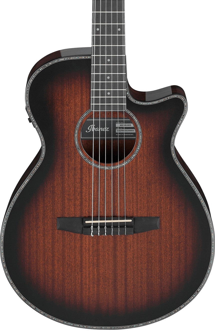 Ibanez AEG74N-MHS Guitarra Española Electrificada AEG74N-MHS
