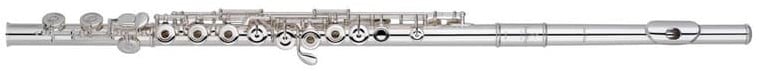 Pearl Flute B505RE-HC Flauta Travesera Quantz Brezza VPEB505RE-HC
