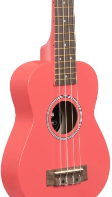 Kala Ukarrd Ukelele Soprano Ukadelic Rosa UKARRD