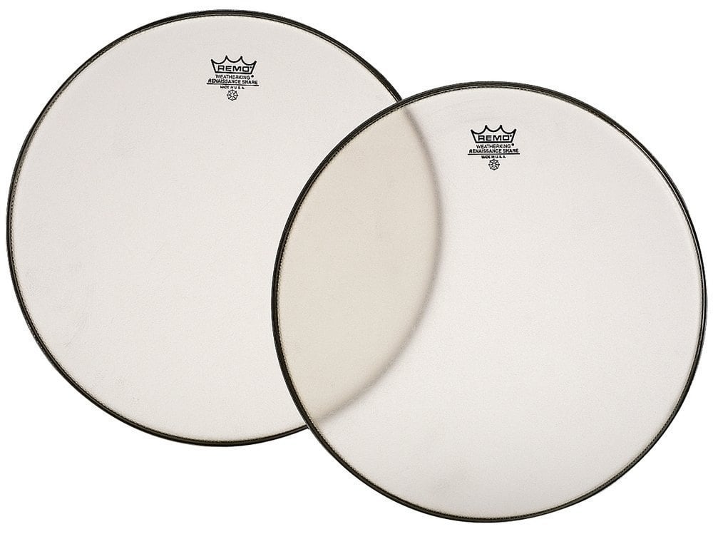 Remo 812048 Renaissance Bordonero 10 Pulgadas SA-0010-SS 812048