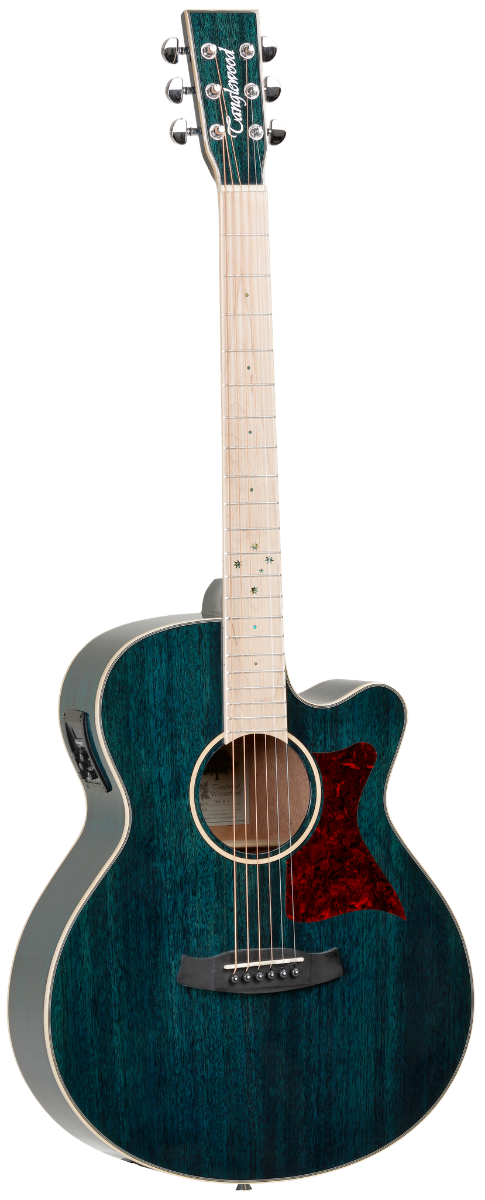 Tanglewood TW4BLA Winterleaf Blonde TW4BLA