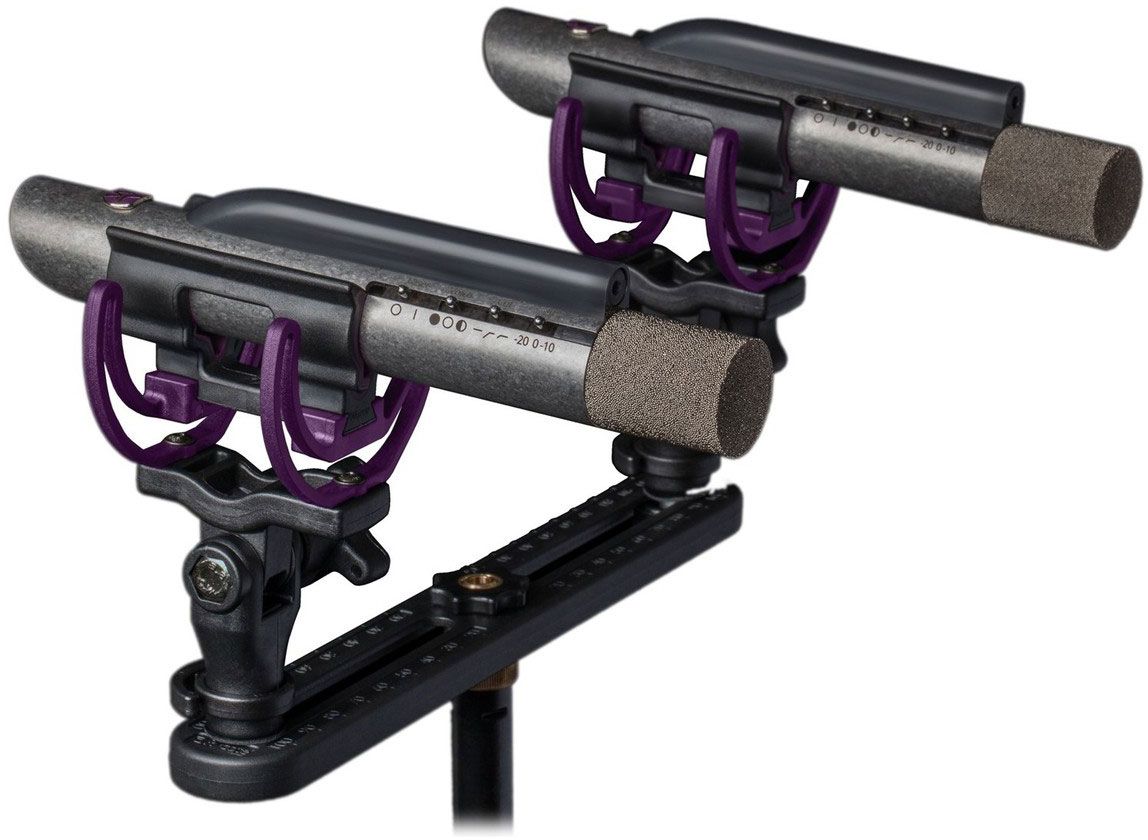 Aston Starlight Stereo Microfono de Condensador Starlight Stereo