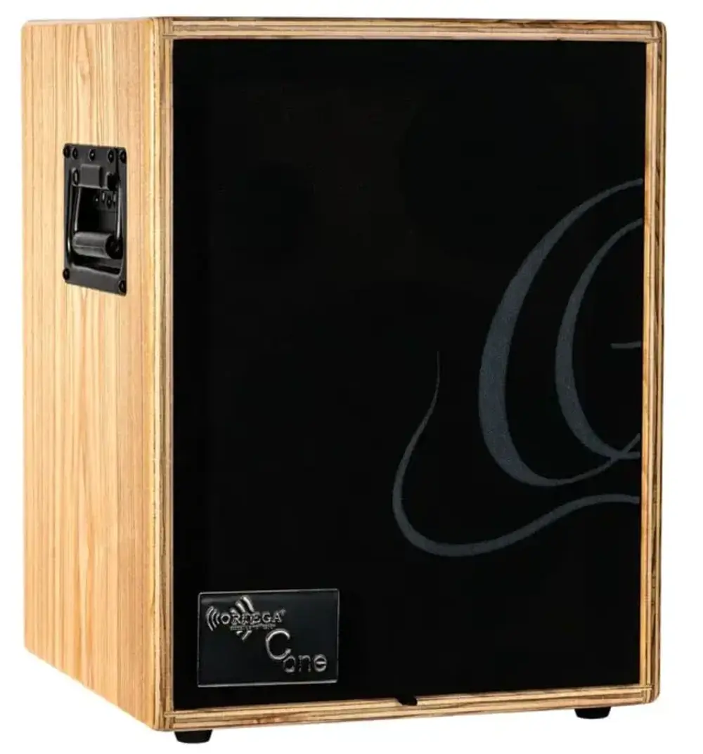 Ortega CONE-ASH Amplificador para Guitarra Acustica CONE-ASH