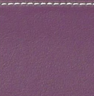 Bam Estuche Oboe ET3129XLVT L'Étoile Compact Hightech Violeta ET3129XLVT