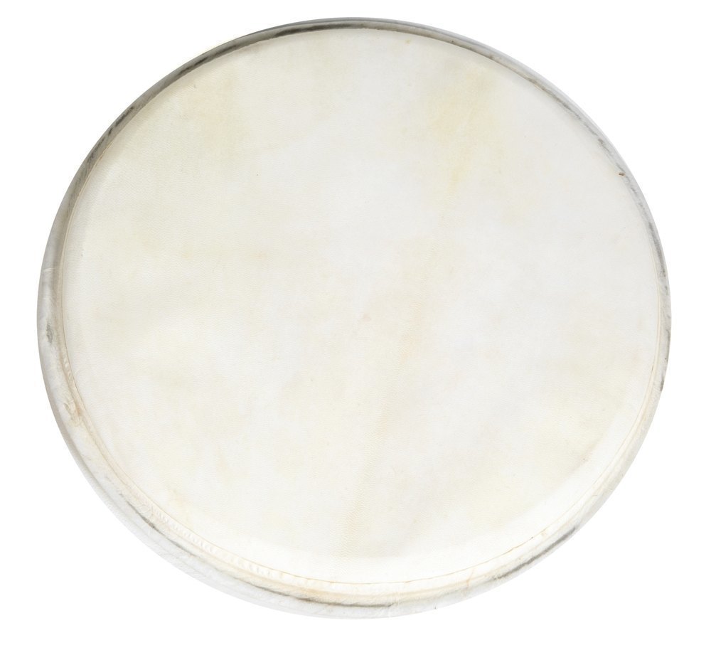 Toca Percussion GSPFS-12 Parche para Djembe Freestyle Cuerda 12 Pulgadas GSPFS-12
