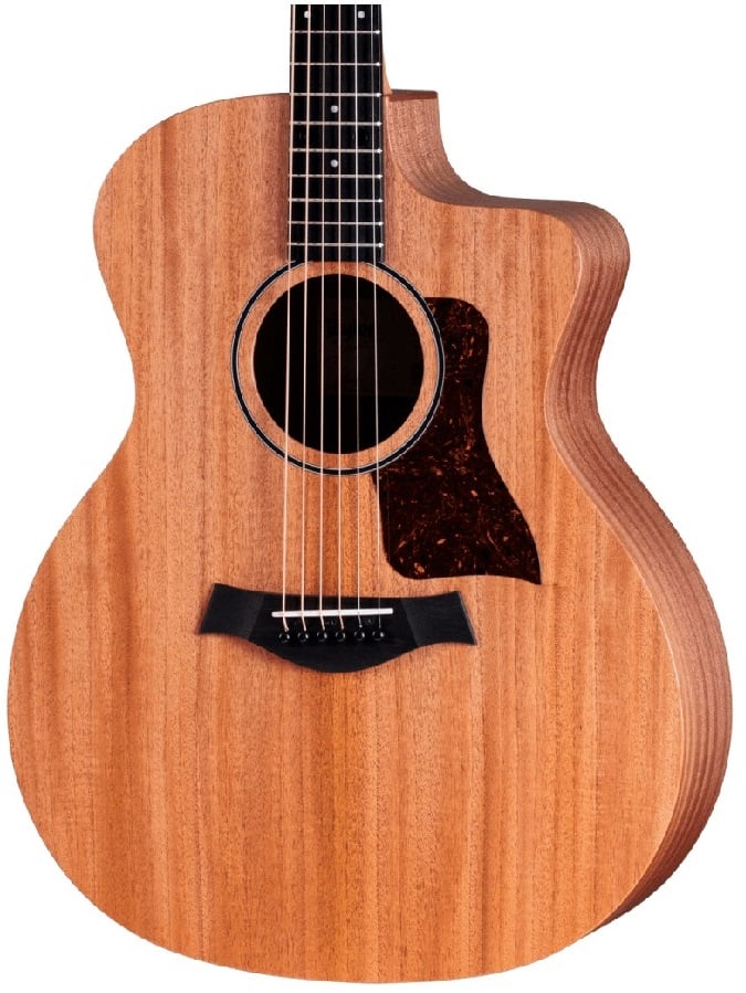 Taylor 24ce Guitarra Acústica 24ce