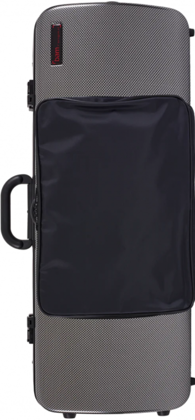 Bam Estuche Viola 2202XLSC Hightech Rectangular con Bolsa Silver Carbón 2202XLSC