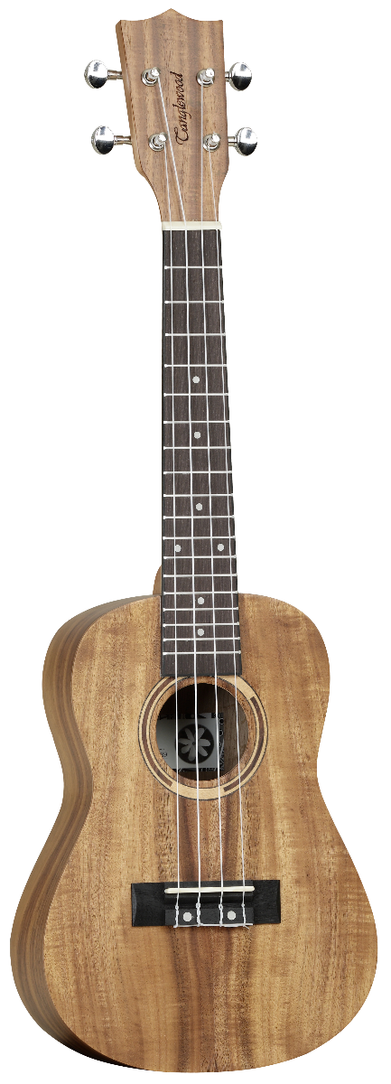 Tanglewood TWT8 Ukelele Concierto TWT8