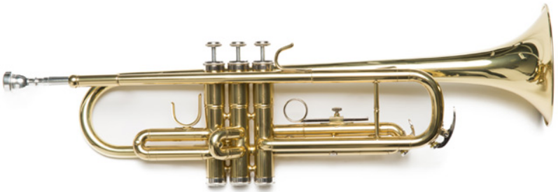 Amadeus Trompeta Dorada TP-807L TP-807L