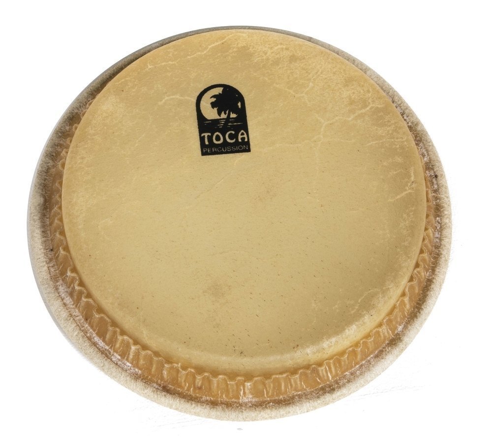 Toca Percussion TP-33006 Parche de Omele Pequeño 5,5 Pulgadas TP-33006