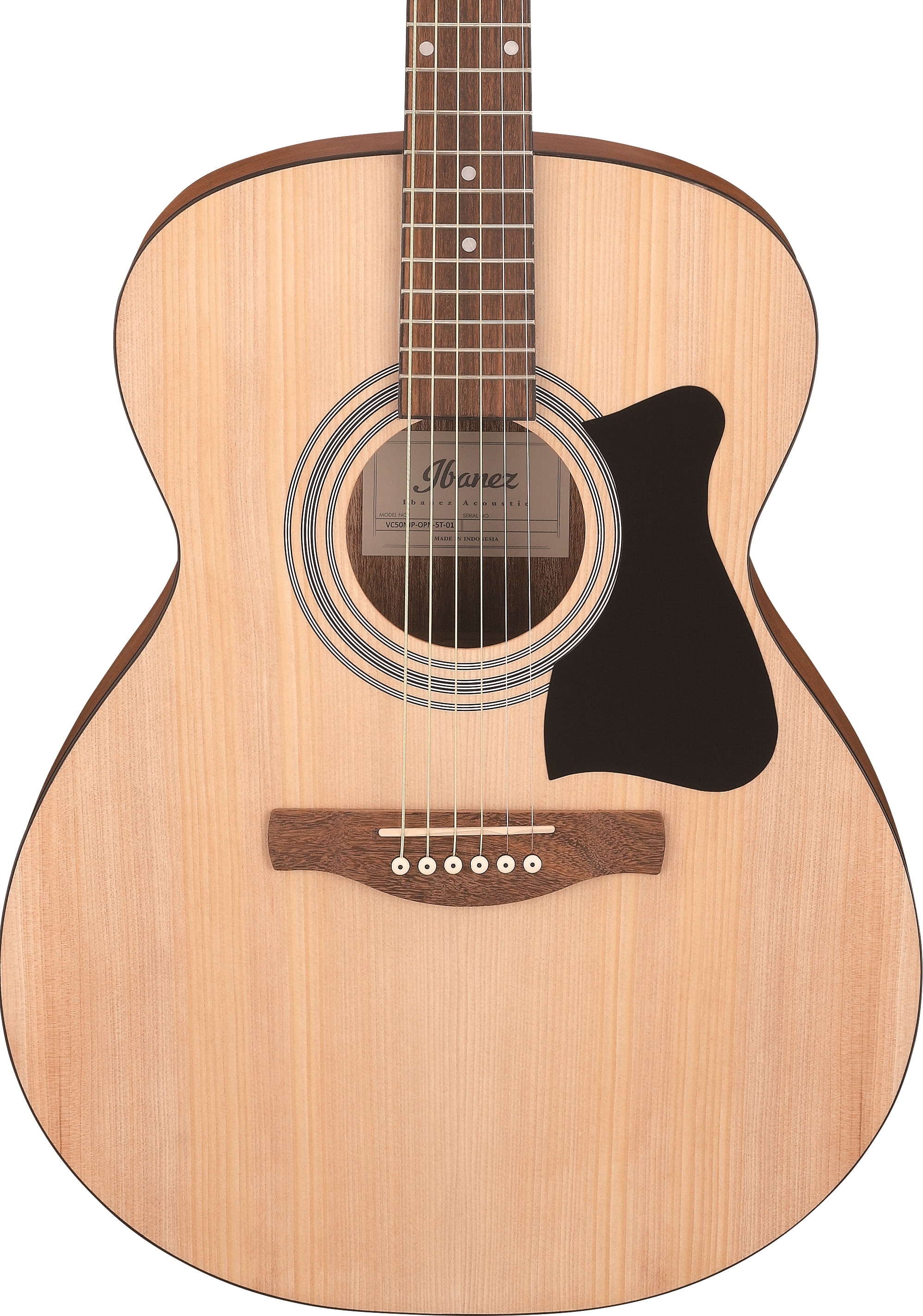 Ibanez VC50NJP OPN Kit Guitarra Acústica VC50NJP OPN