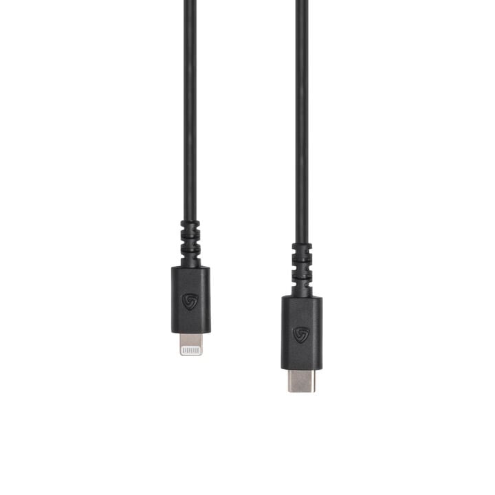 Lewitt CONNECTC2L Cable USB C a Lightning CONNECT C2L