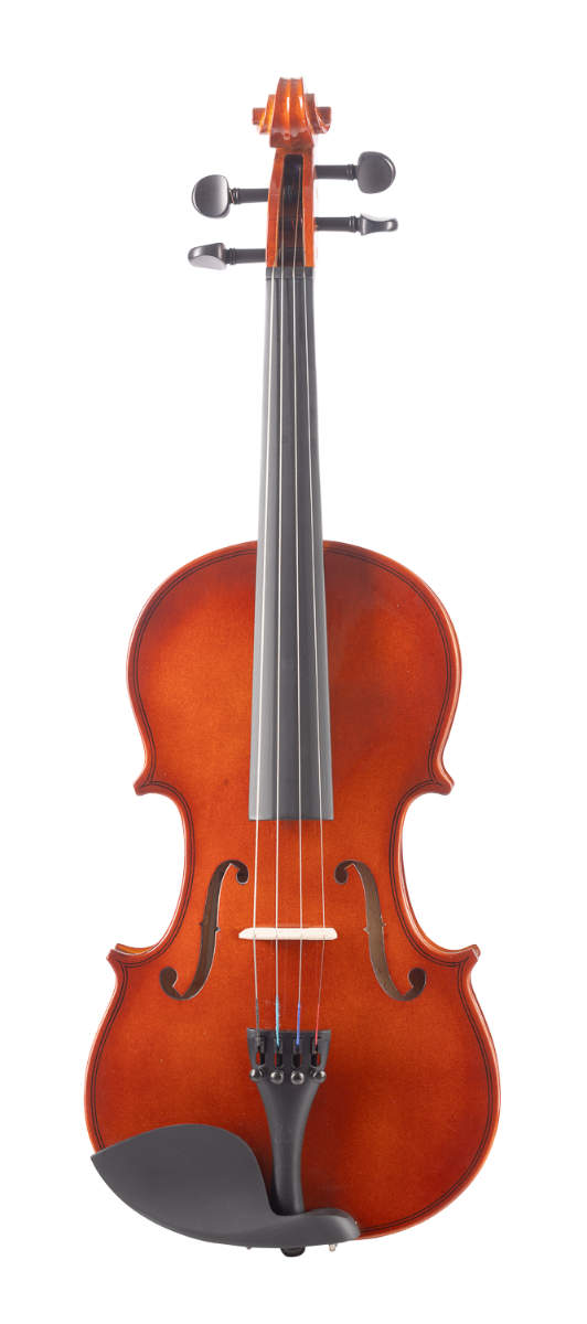 Amadeus VAF10 4/4 Violín VAF10 4/4