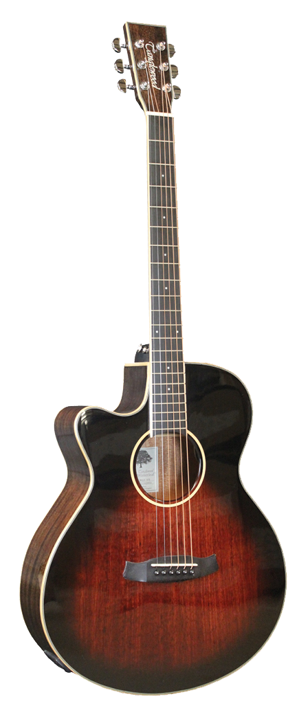 Tanglewood TW4AVBLH TW4AVBLH