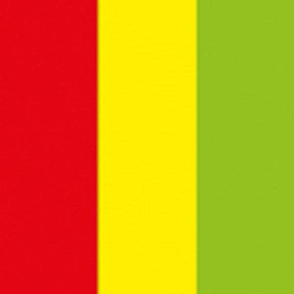 Showtec 62030RGG Cañón Eléctrico de Confeti Rojo, Amarillo y Verde 62030RGG