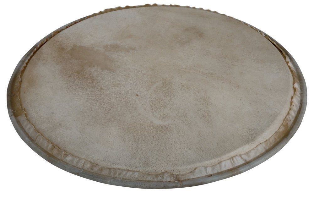 LP WB505A Parche de percusión Plenera 8" WB505A