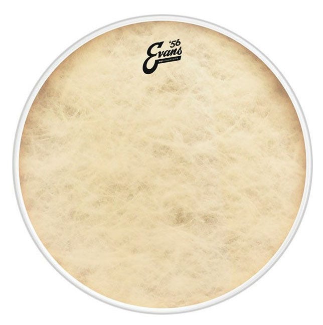 Evans 18 EQ4 Calftone Parche de Bombo BD18GB4CT 18 EQ4 Calftone BD18GB4CT