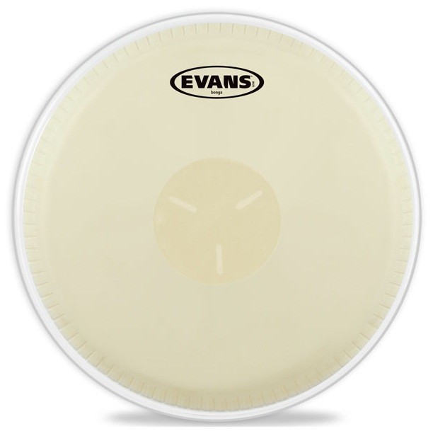 Evans EB07 Parche Bongo 7 1/2" Macho Simétrico EB07