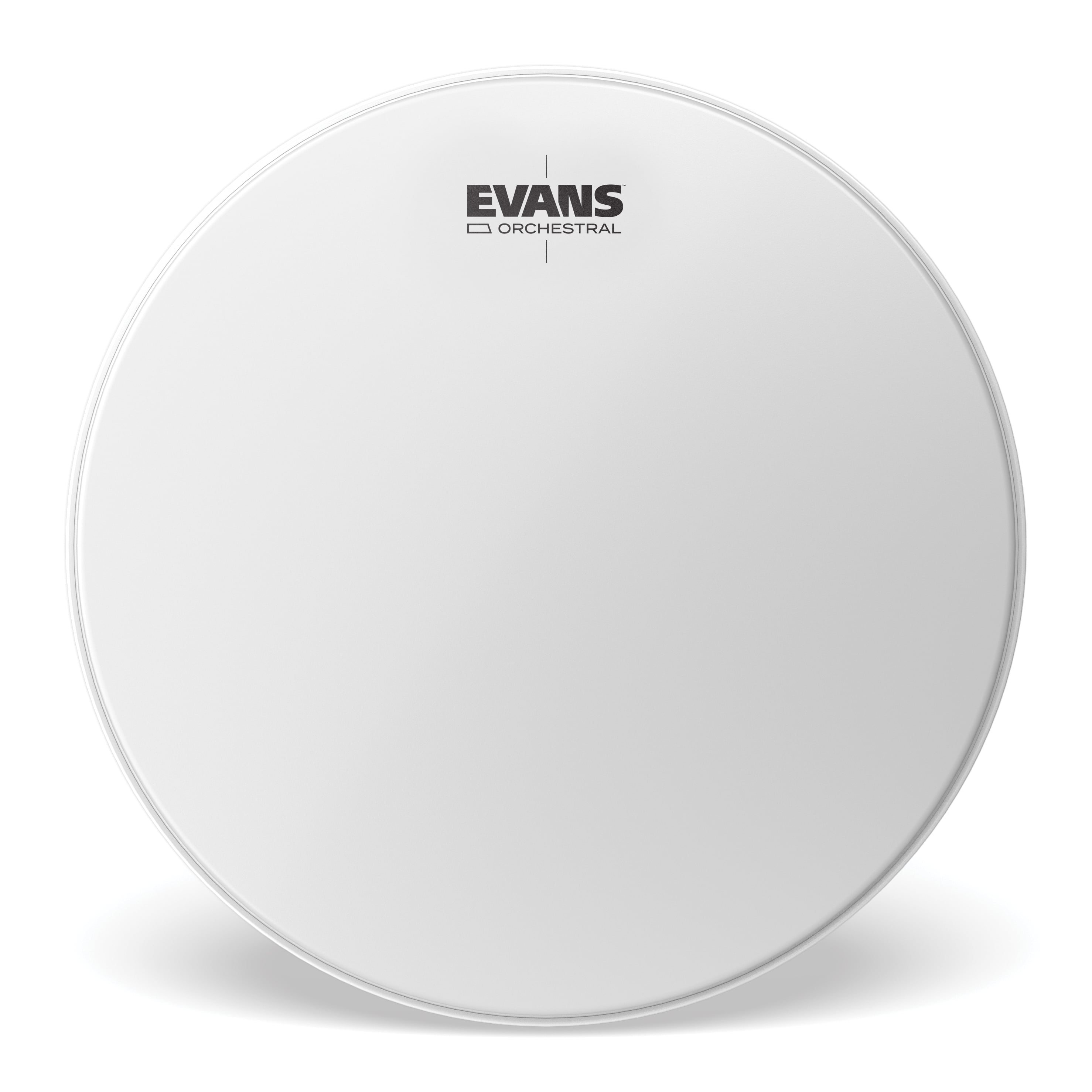 Evans Orchestral Timpani Drum Head, 24.5 Pulgadas ET2450