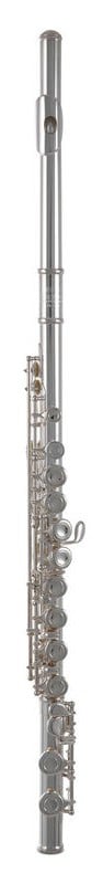 Roy Benson FL-402E Flauta FL-402E