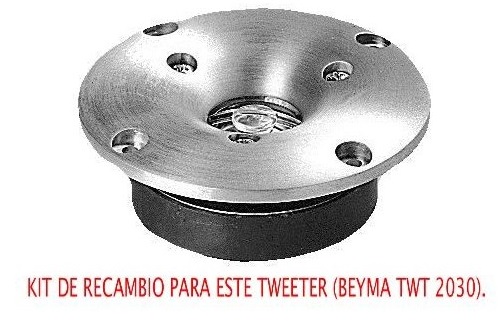 Beyma Membrana Twitter 2030 8 OH Membrana Twitter 2030 8 OH