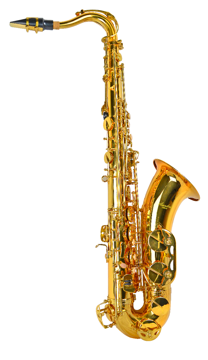 Amadeus TS910 Saxo Tenor En Sib TS910