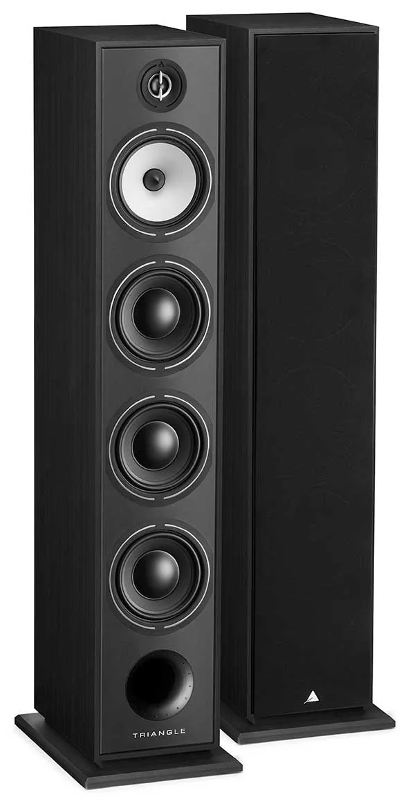 Triangle Borea BR09 Negro Altavoces Suelo Borea BR09 Negro