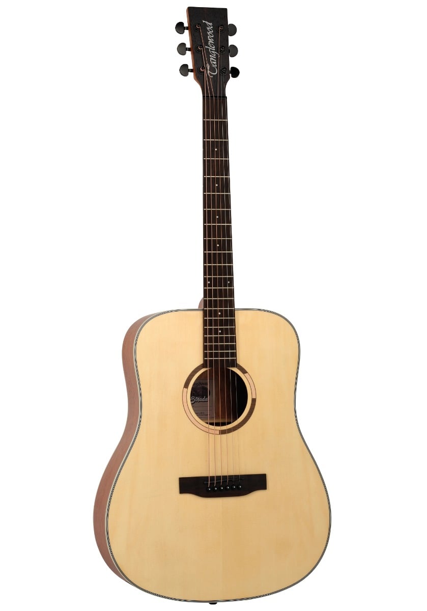 Tanglewood TS5 TS5