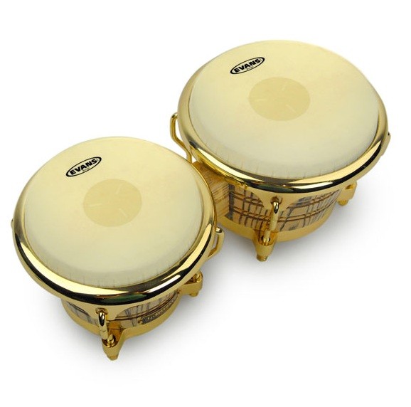 Evans EB0709 Parche Bongo 7 EB0709